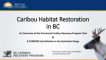 Caribou Habitat Restoration Tool February 12 2020 Presentation